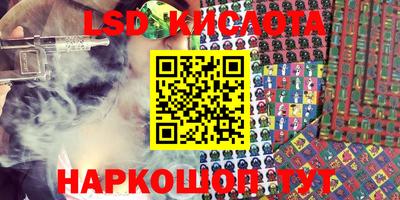 a pvp Камышлов