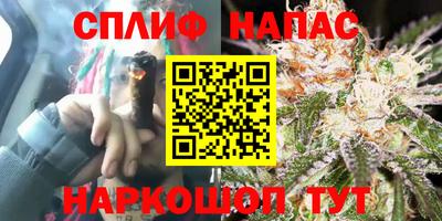 гидра Канаш